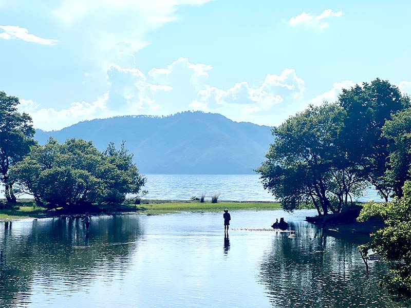琵琶湖保全活動